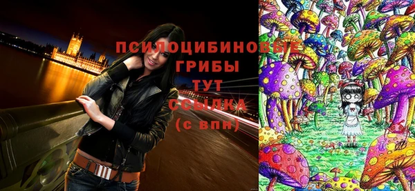 кокс Абдулино