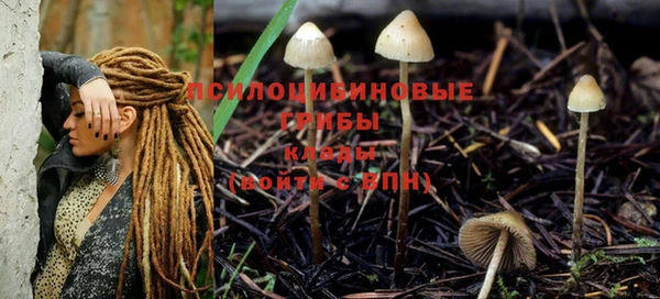 соль ск Абинск