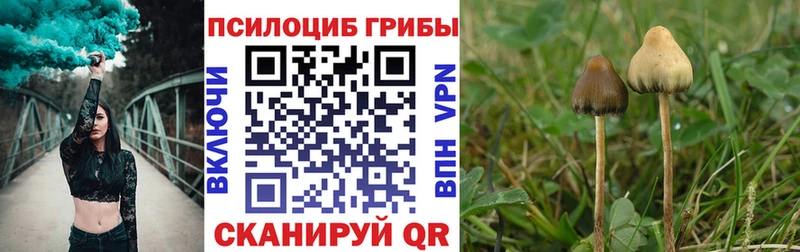 кракен как войти  Азнакаево  Псилоцибиновые грибы Psilocybe  магазин   