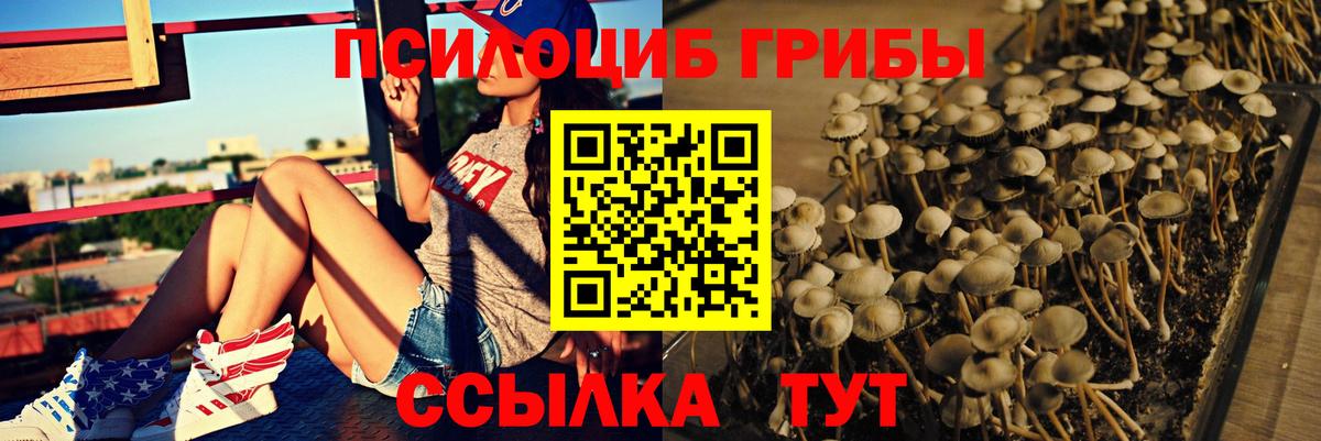 Галлюциногенные грибы Psilocybe  Вход с VPN  Азнакаево 